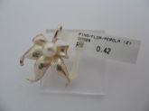 PINGENTE DE PRATA FLOR PEROLA  CB 14527