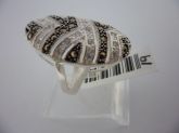 Anel Prata Micro Zirconia Oval1619121